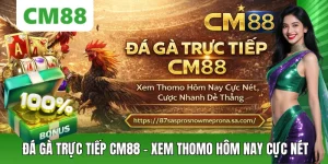 Đá Gà Trực Tiếp CM88 – Xem Thomo Hôm Nay, Cược Lẹ Thắng Lớn