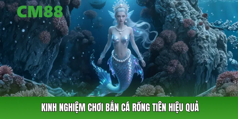 Kinh nghiệm chơi bắn cá rồng tiên hiệu quả